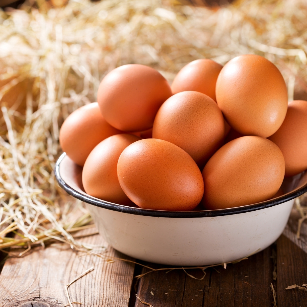 Gezen Tavuk Yumurtası